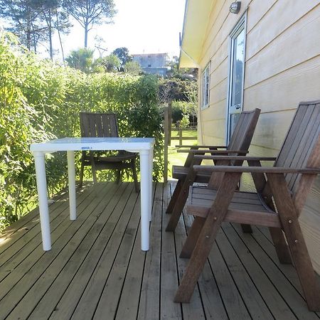 Big Bay Holiday Park Awhitu Camera foto